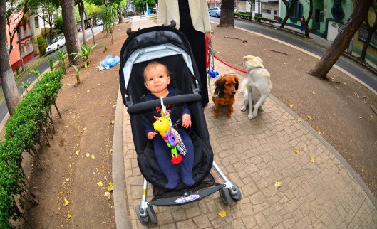 2012 04 06 Out and About (2)