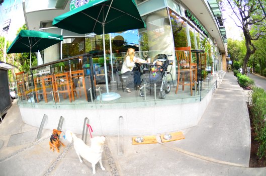 2012 04 06 Out and About (3)