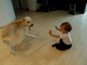 2012-07-10-babys-best-friend