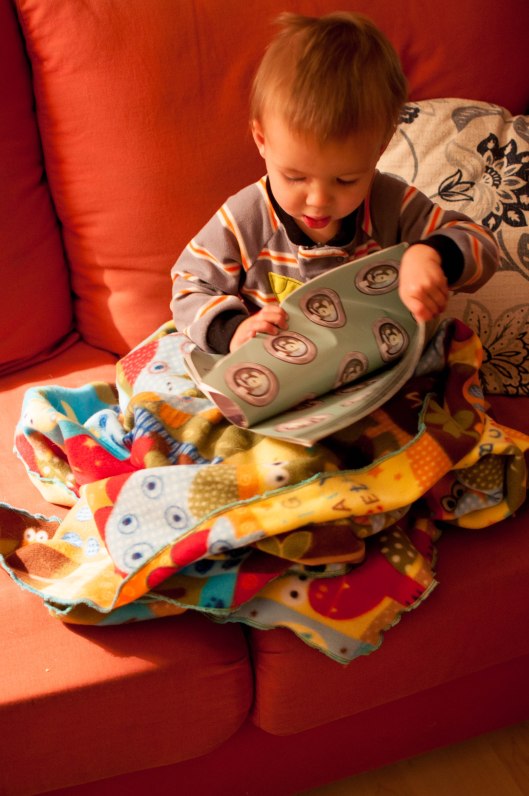 2013 01 08 Reading Blanket-2