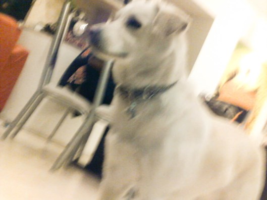 Curiously, there are a ton of photos of Charlie