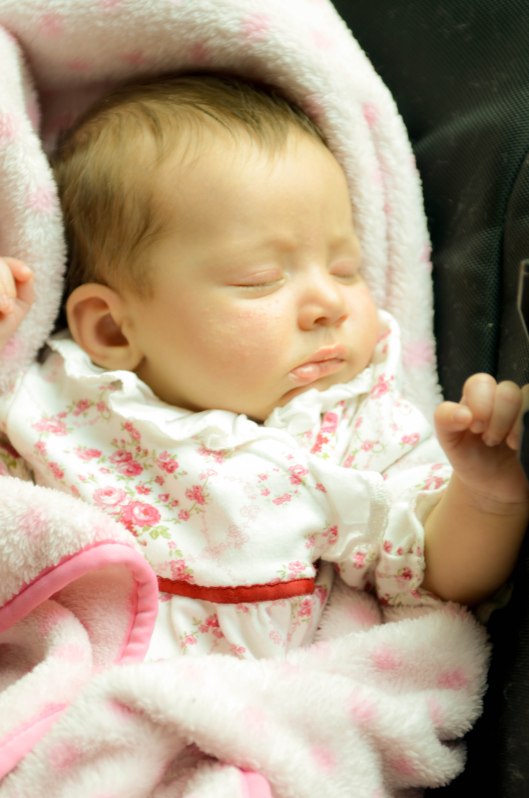 2013 03 16 Alex's Milk Coma -1