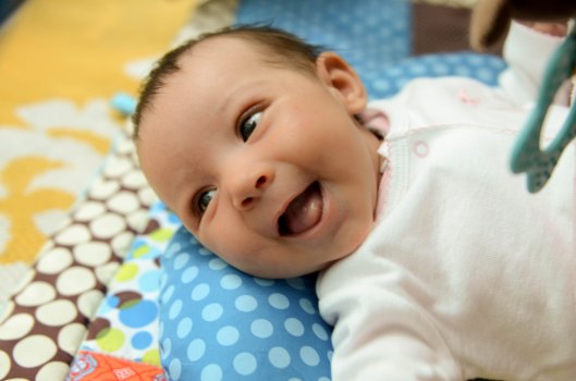 2013 03 18 Alex in the Jungle Gym-2