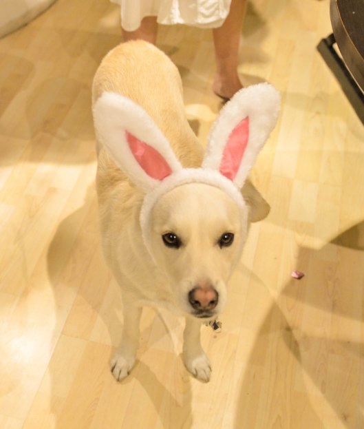 2013 04 12 Bunny Ears-5