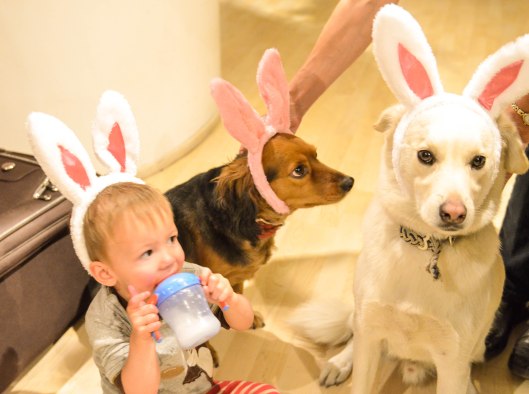 2013 04 12 Bunny Ears-6