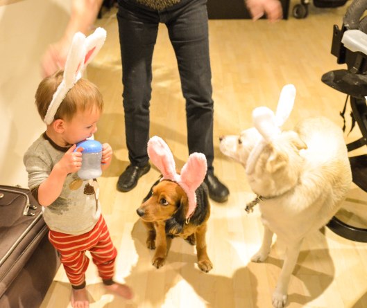 2013 04 12 Bunny Ears-7