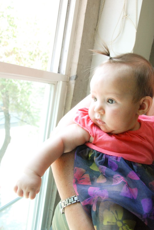 2013 05 06 First Ponytail (1 of 1)