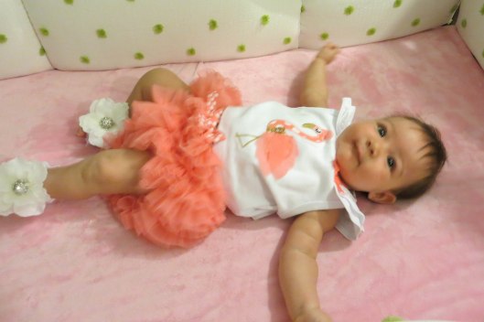 2013 05 31 Flamingo Butt-1