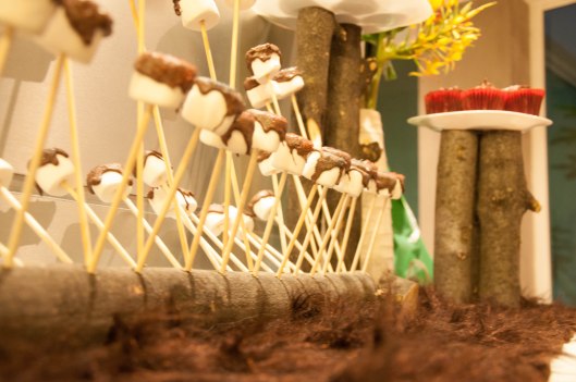 2013 07 27 Dexter's Wild Rumpus-8