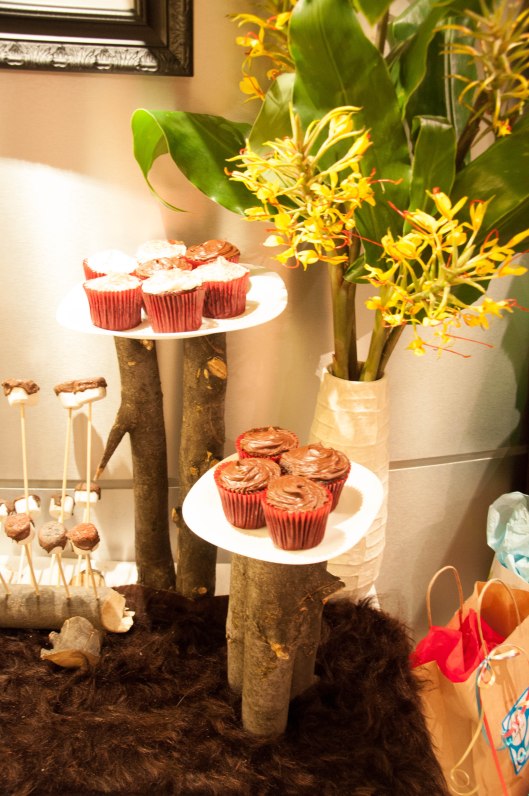 2013 07 27 Dexter's Wild Rumpus-9