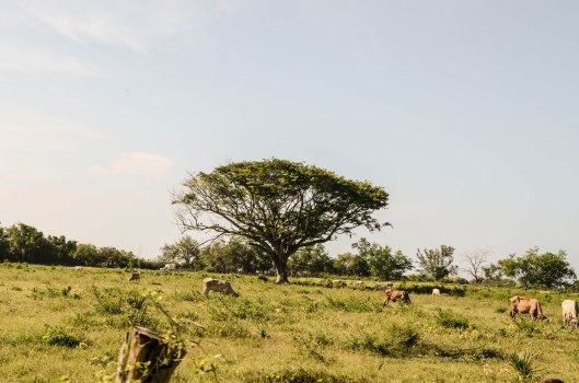 2013 08 04 Puerto Escondido The Town-1
