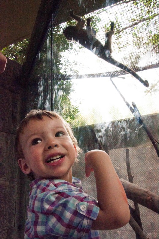 2013 08 11 An Afternoon with the Boys-2