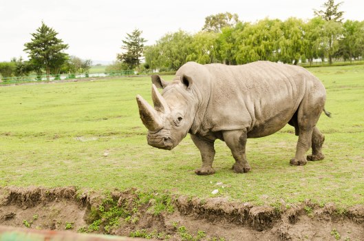 2013 08 16 Watching Animals-10