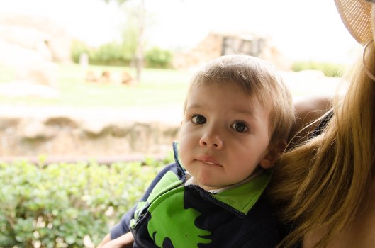 2013 08 16 Watching Animals-2