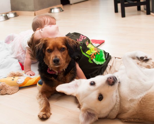 2013 09 07 All My Kids-2