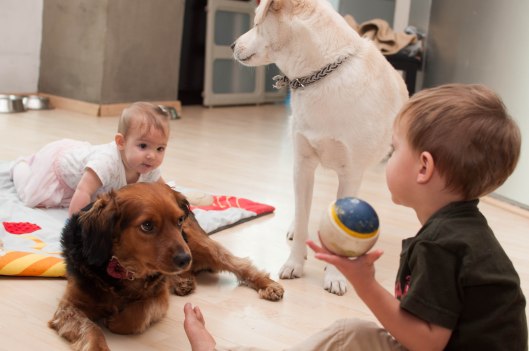 2013 09 07 All My Kids-6