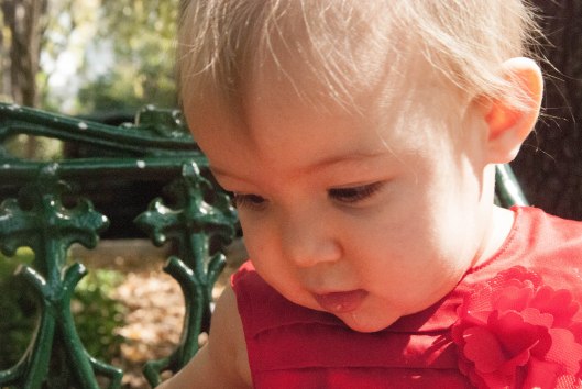 2013 11 23 Happy 11 Months, Alexandra!-4