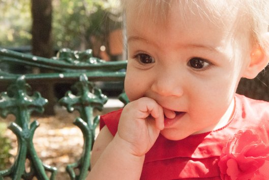 2013 11 23 Happy 11 Months, Alexandra!-5