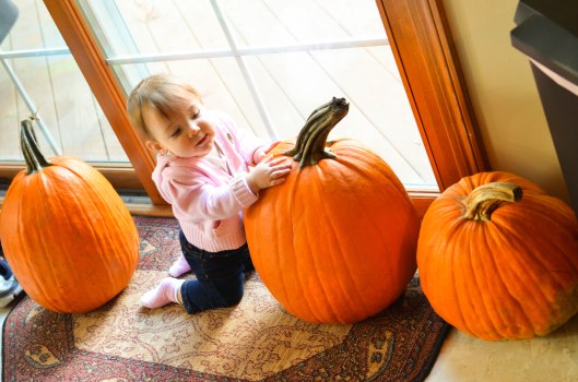 2013 10 24 Pumpkins and Babies-1