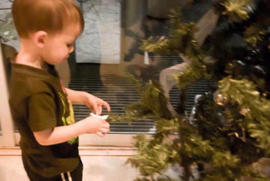 2013 12 06 Tree Helpers-2