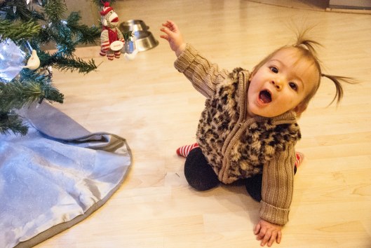 2013 12 06 Tree Helpers -9