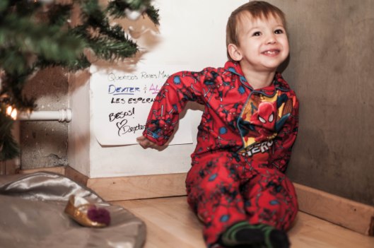 2014 01 06 Reyes Magos en Casa Izquierdo-2