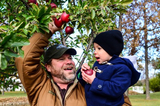 2013 10 25 The Apple Tree-1