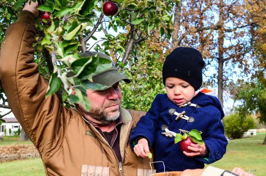 2013 10 25 The Apple Tree-3