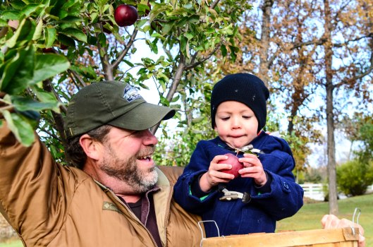 2013 10 25 The Apple Tree-4