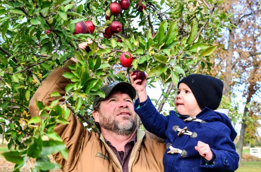 2013 10 25 The Apple Tree-5