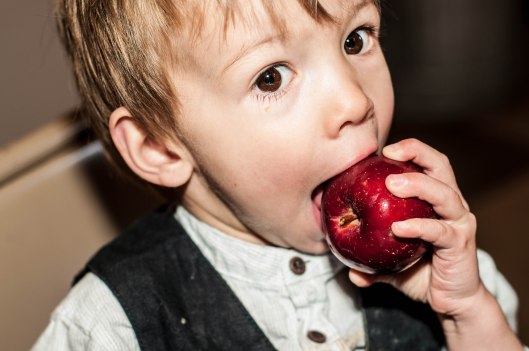 2013 10 25 The Apple Tree-6