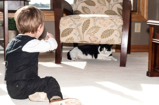 2013 10 28 Dexter, the Cat Hunter-3