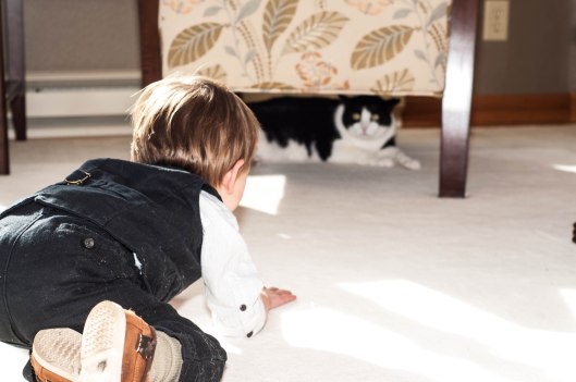 2013 10 28 Dexter, the Cat Hunter-4