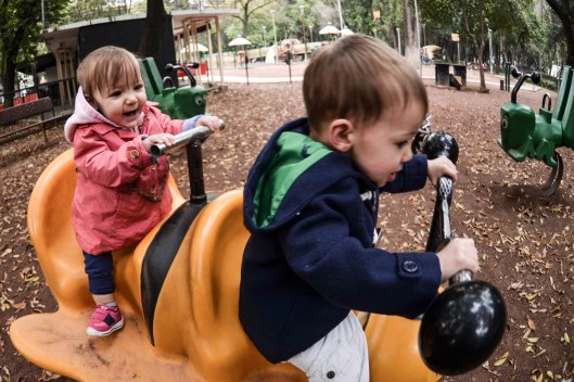 2013 11 15 Progress at the Park-10