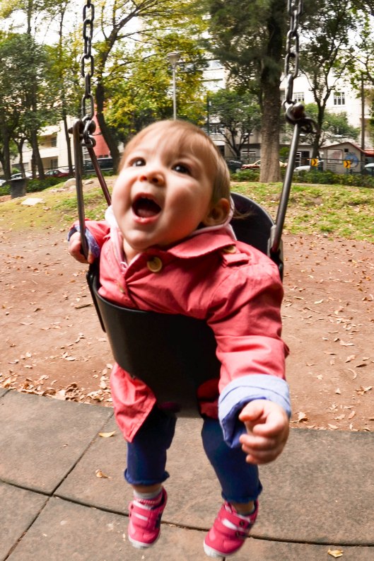 2013 11 15 Progress at the Park-2