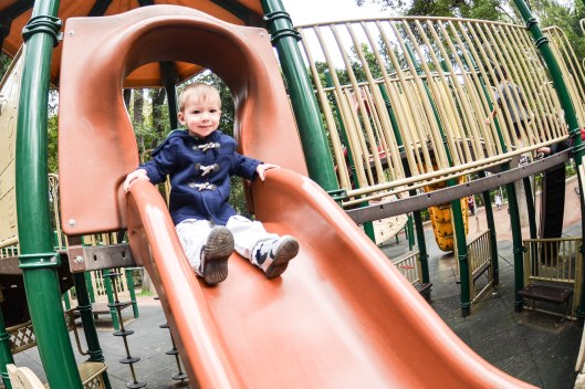 2013 11 15 Progress at the Park-3