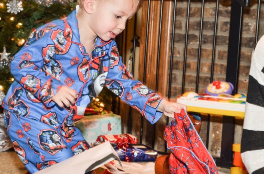 2013 11 30 Early Christmas-20