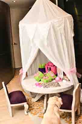 2014 01 24 Alex's Birthday Party-2