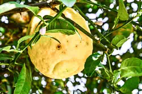 2014 01 25 Sun, Pool, & Views-10