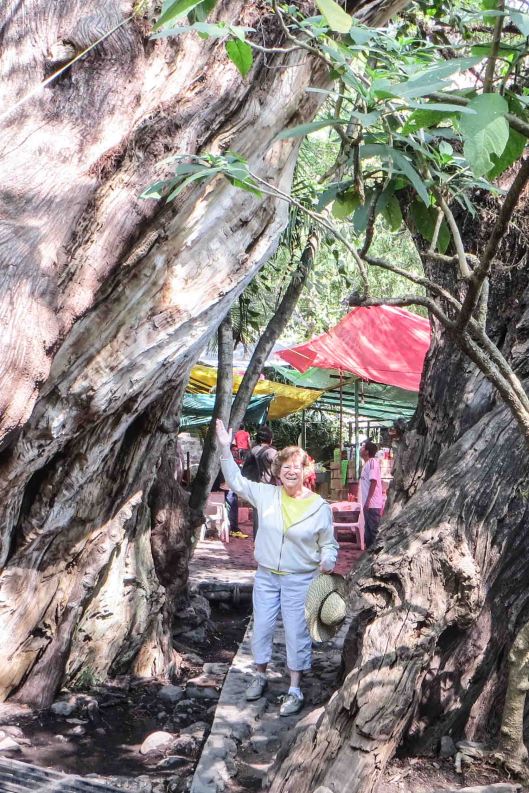 2014 01 25 Sun, Pool, & Views-12