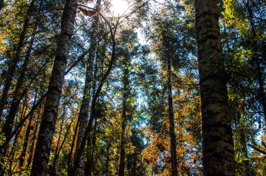 2014 02 02 The Butterfly Hike-14