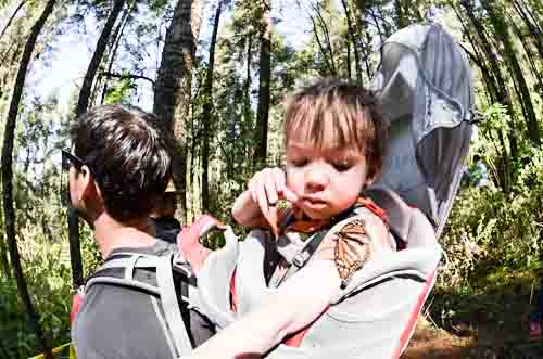 2014 02 02 The Butterfly Hike-6