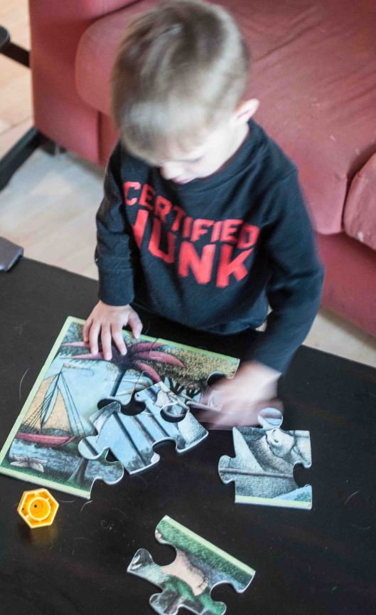 2014 03 22 Puzzles & Books-3