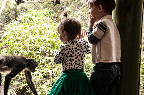 2014 07 19 Monkeys & Leap-Frogs-7