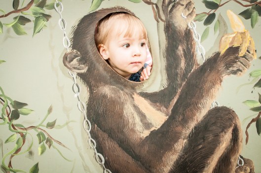 2014 07 13 The Oshkosh Zoo-10