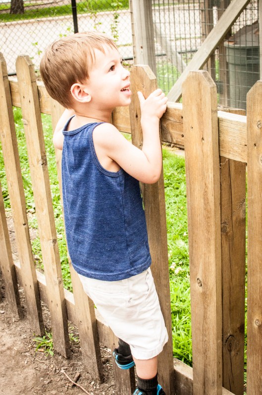 2014 07 13 The Oshkosh Zoo-3