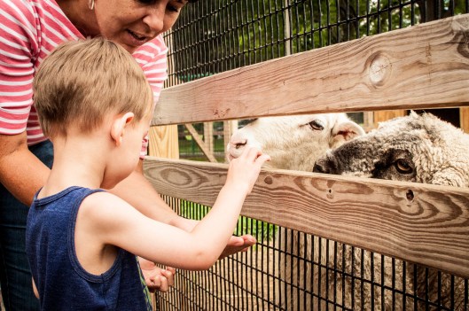 2014 07 13 The Oshkosh Zoo-5