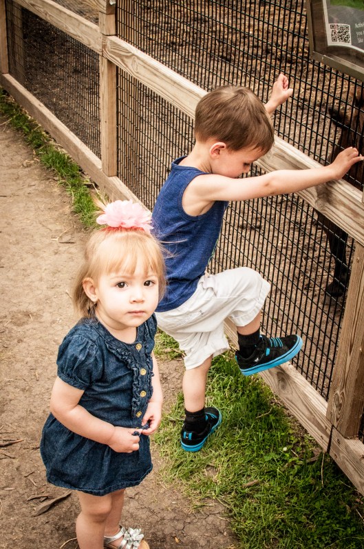 2014 07 13 The Oshkosh Zoo-7