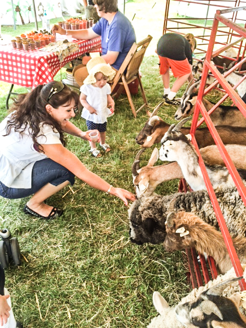 2014 07 16 County Fair-1