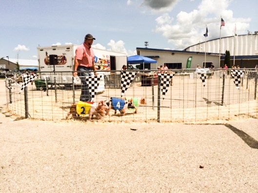 2014 07 16 County Fair-11